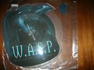 RARE in MINT -  W.A.S.P.  ltd Ed.  RAVEN-SHAPE DISC outnumbered  1995