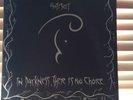 Antisect In Darkness There Is No Choice Original Spiderleg Lp