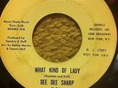 NORTHERN SOUL / DEE DEE SHARP / WHAT KIND OF LADY  / HARD TO FIND ORIGINAL