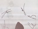 FOALS FULLY SIGNED 