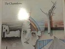 The Chameleons - Script of the Bridge 1983 UK - STAT LP 17