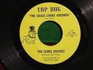 THE CAMEL DRIVERS Grass Looks Greener 45 MICHIGAN GARAGE FUZZ PSYCH Top Dog HEAR