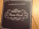 Mumford and Sons - Winter Winds 7