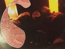 THE CLEAN - FLYING NUN  (12 