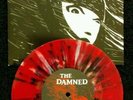 The Damned Little Miss Disaster 7