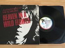 RARE LP VINYL 12