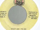 TONY SCOTT & THE SOUL BOYS - WHAT AM I TO DO / YOU STILL GOT THE SMILE     7