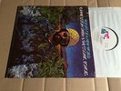 LONNIE LISTON SMITH & THE COSMIC ECHOES - VISIONS OF A NEW WORLD - LP - USA 1975