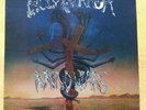 Holy Terror-Mind Wars LP 1988, rar