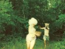 Harmlessness- The World Is A Beautiful Place... [LP] 2015 NEW & SELALED VINYL LP