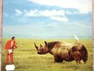 ADRIAN BELEW / LONE RHINO - LP (Italy 1982) SIGILLATO / SEALED