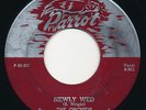 ORCHIDS Newly Wed / Everything To Me PARROT Rare Doo Wop 45 Killer