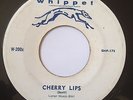 The Robins CHERRY LIPS / OUT OF THE PICTURE 1956 Doo Wop R&B Rocker 45 Whippet