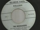 ROCKABILLY SURF INSTRO bw GARAGE - MOONGAZERS -HEAR BOTH- MILLBROOK SCHOOLS ROCK