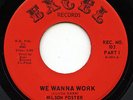 HEAR - Rare R&B / Soul 45 - Wilson Foster - We Wanna Work - Excel # 103