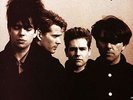 Echo & The Bunnymen [Vinyl New]