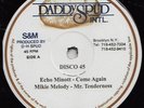 ** ECHO MINOTT COME AGAIN + MIKIE MELODY NEXT CUT 12in SOUGHT AFTER DIGI CLASSIC