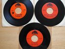 Bobby Fuller Four 7