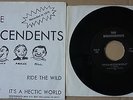 descendents ride the wild / it's a hectic world black flag nofx bad religion