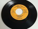 MICHIGAN GARAGE ROCK 45 / BEACH BUMS / BALLAD OF YELLOW BERET / BOB SEGER DEBUT