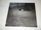JOHN ZORN - NAKED CITY - RARE  LP 1990 Elektra Nonesuch ?MADE IN GERMANY NM-/EX-