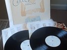CELINE DION     original Vinyl 2LP     Falling Into You (1996)