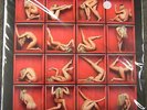 THE ROLLING STONES  Foxes in the Boxes VOL. 1 LP + CD  blaues Vinyl