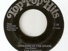 THE CHORDS Grazing In The Grass TOP POP HITS  NORTHERN SOUL 45