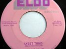 The DING DONGS 45 Sweet Thing / Ding Dong ELDO label DOO WOP e3980