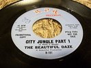 Psych Fuzz Garage 45 THE BEAUTIFUL DAZE 