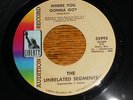 Killer Michigan Garage THE UNRELATED SEGMENTS LIBERTY LABEL #55992 WHER