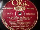 Truetone OKeh 40576 Merritt Brunies & His Friar's Inn Orchestra (Chicago 1926)