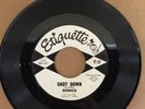 The Sonics Shot Down / Don't Be Afraid of the Dark PROMO  GARAGE ROCK