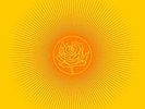 Ryan Adams - Easy Tiger (Vinyl LP / Album) (New)