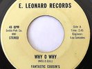 * FANTASTIC COUSINS Why O Why/Come Down Junkie RARE FUNK SOUL E. Leonard 45 Hear