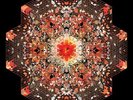 Gold Panda - Half Of Where You Live Vinyl 2LP + Digital NEU