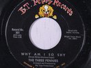 THREE PENNIES: Why Am I So Shy / A Penny For Your Thoughts 45 Oldies
