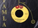 * MIRACLES If Your Mother Only Knew / Way Over There NORTHERN SOUL Tamla 45 HEAR