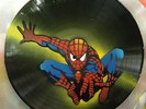 SPIDERMAN DESIGN. Handmade Stencil work on vinyls. Made in Australia