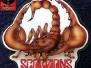 Scorpions - Rhythm Of Love Vinyl LP Picture disc shaped raro