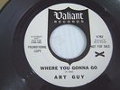 ART GUY killer FUZZ GARAGE PROMO 45 HEAR WHERE YOU GONNA GO 1967 PSYCH 2-SIDER