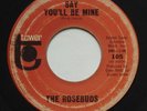 HEAR Northern Soul THE ROSEBUDS Say You'll Be Mine TOWER 105 Original 45 MP3