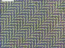 Animal Collective: Merriweather Post Pavilion (2-LPs-180GV)