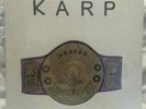KARP - SUPLEX - ORIGINAL 1995 K RECORDS VINYL LP - NEVER OPENED