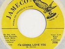 EDWARD HAMILTON I’m Gonna Love You / Call Me JAMECO northern soul 45 VG++