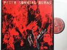 Peter Sonntag Burns Very Rare Vinyl LP In Gatefold-PS Bass Wizzard