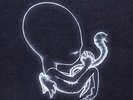 Sigur Ros - Agaetis Byrjun - 2 x 180gram Audiophile Vinyl LP & CD SEALED