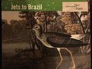 JETS TO BRAZIL Four Cornered Night LP Jade Tree OG Rare Black Vinyl