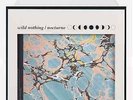 Wild Nothing   Nocturne Sealed Limited Ed. White Vinyl x/500 Sold Out + Download