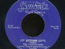 45bs-R&B vocal group-STATES 147-The Danderliers